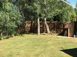 Back Garden